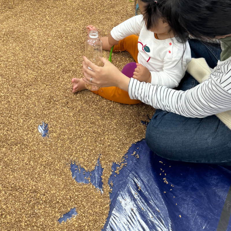 김혜진 보육교사님의 전문가 이미지