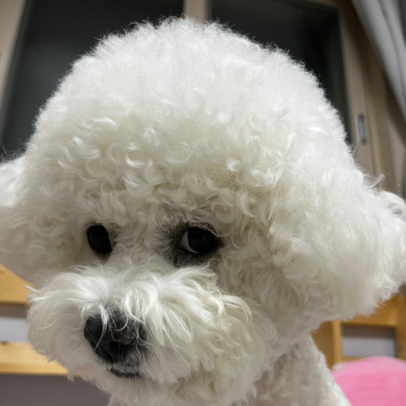 백현기 경제전문가님의 전문가 이미지