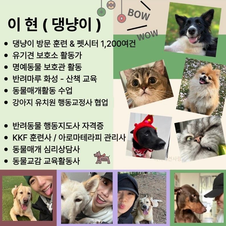 이현 반려동물 훈련사님의 전문가 이미지