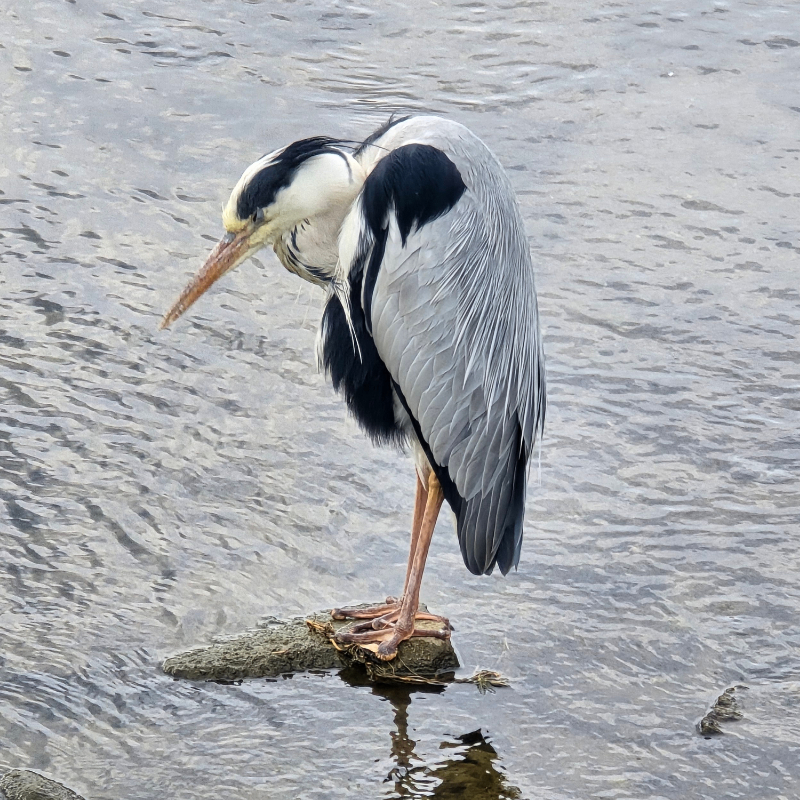 이재훈 경제전문가님의 전문가 이미지