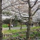 VECTER 프로필 이미지