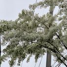 아하vzgryl 프로필 이미지