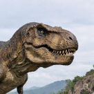 티라노인데어쩔껀데