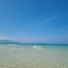 봄2애비님 프로필 이미지