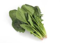 지금도끼가넘치는시금치