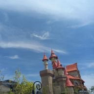 중드매니아 배우자