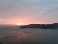 도도한몽구스233