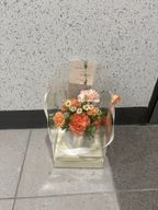 빠른굴뚝새54