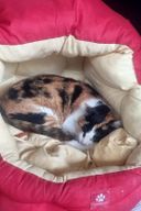 우주최강존예빈