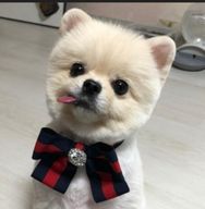 예나거덩