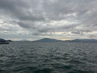 기운찬메추라기199