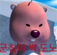 포효하는루피