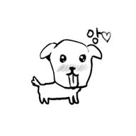 대한민국의실험체09