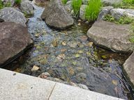 착한보이는사람