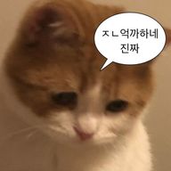 어떻게든살아가는사람