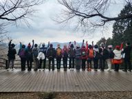 정말저돌적인당나귀