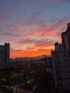 상했어?냅둬아빠주게