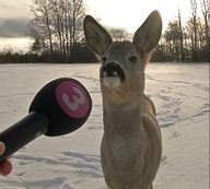 사람은무엇으로사는가