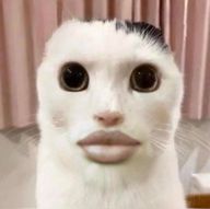 하츠네미쿠