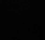 어쩐지견고한라일락