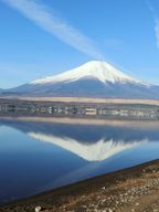 버스좋아하는철덕