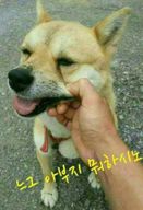 느구아부지