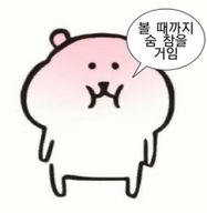 다이룰진이
