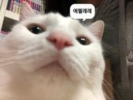 에렐레레
