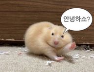 왕연석