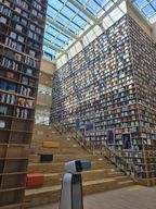 영원히잠이없는튤립