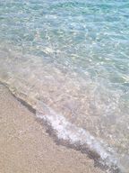 은근히자부심이많은아카시아나무