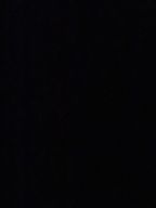 뚱냥이로태어나자