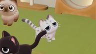 강느루