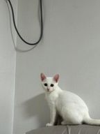 소금씨네