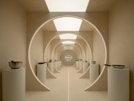 지혜로운개미핥기136