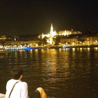 처음부터영특한소나무