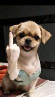 모레도발랄한메밀소바