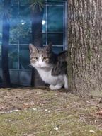 🤹‍♂️저글러🎸