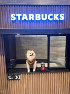 닉네임을입력해주세요