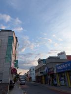 새침한느시174