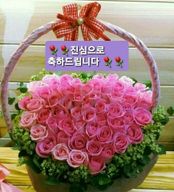 호화로운발발이30