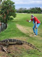 나이스어프러치