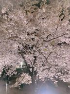 놀생각하다하루지나간밍디의하루