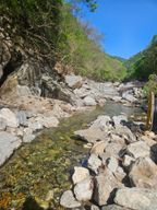 독특한다향제비108