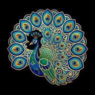 언제나풍성한공작