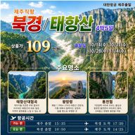 이스리두병