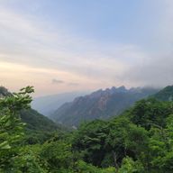 슬기로운듀공294