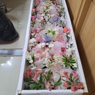 장례지도사 최상화