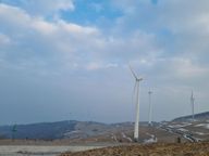 그럭저럭두근거리는사막여우