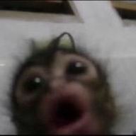 그냥 평범하고 평범한 중학생.